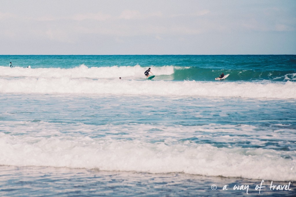 Bidart_plage_surf_surfeur_vague