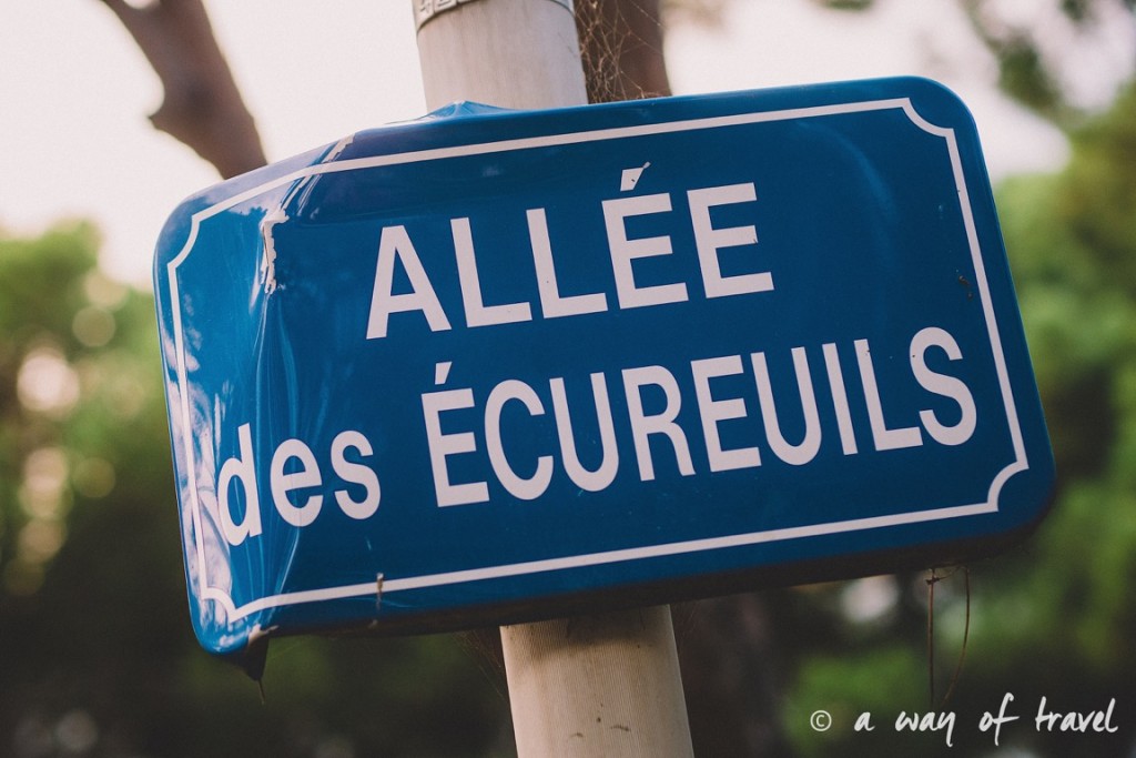 blog-toulouse-argeles-vacances-plage-ecureuils