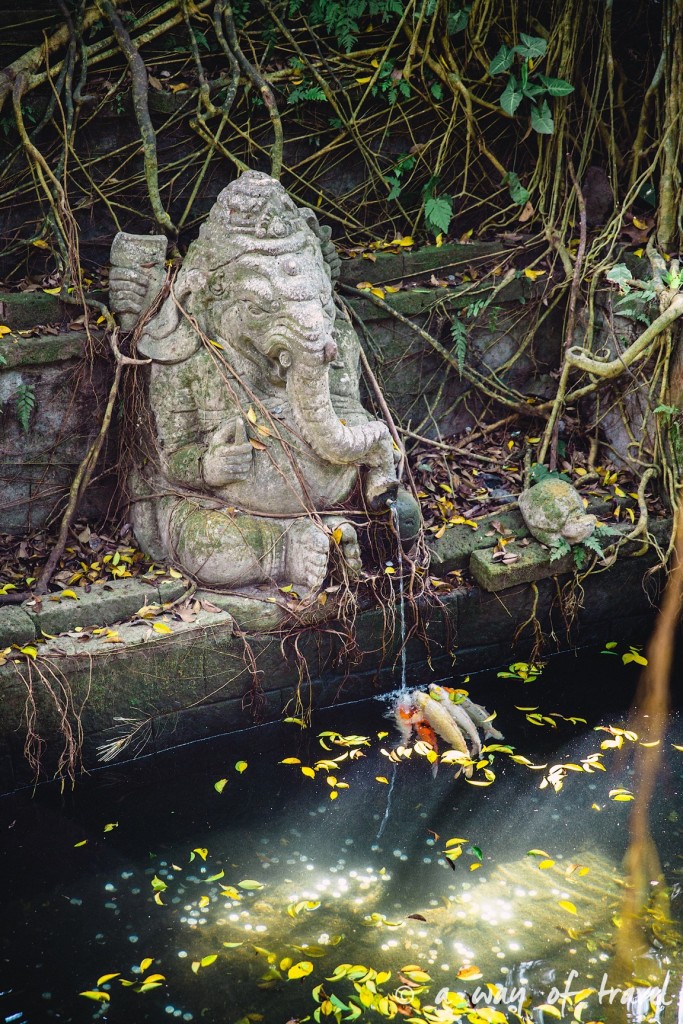 Ubud Bali foret singes monkey forest quoi faire idée touristique 12