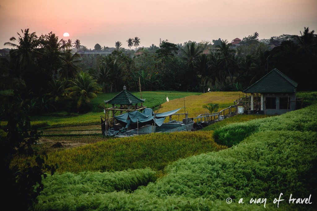 visit Ubud Indonesia Bali quoi faire rizière coucher soleil sunset