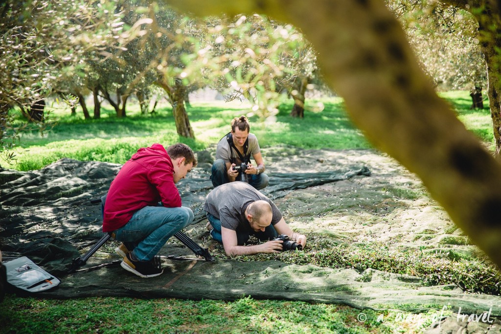 Crête photographes champs olivier grece reportage