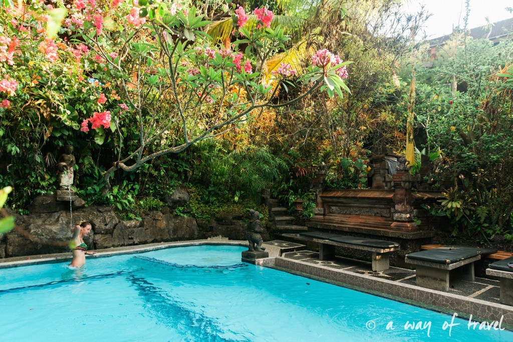 Indonesia Bali quoi faire visit Ubud piscine