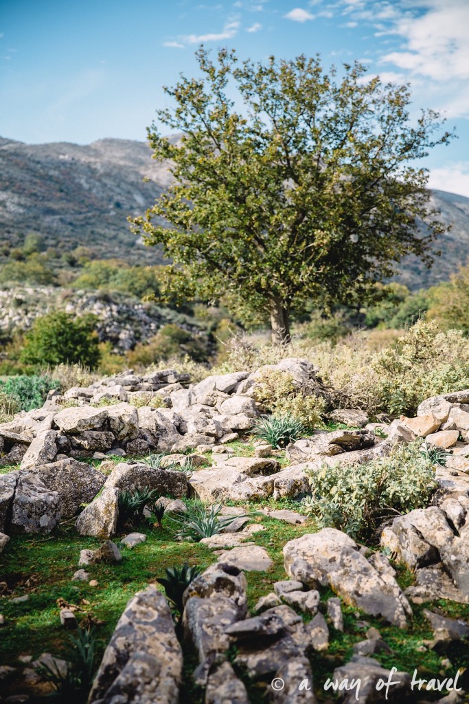 The Shepherd's Shelter Mount Ida paysage aggrotourisme Crete-100