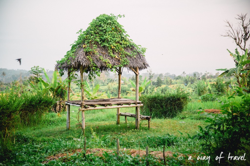 Tirtagangga water palace visit bali indonesia potager jardin organique