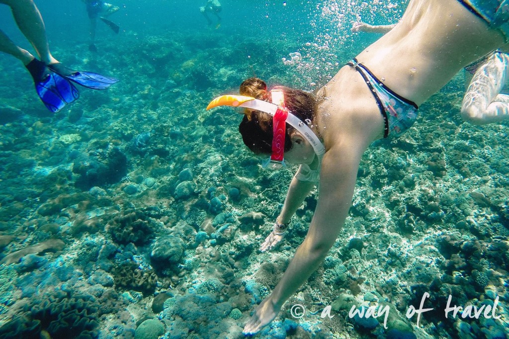 Visit Bali Indonesie Nasi Lembongan snorkeling plongee