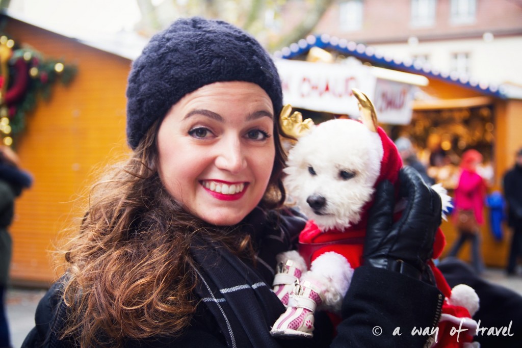 marche noel christmas market capitale strasbourg costume chien (1)