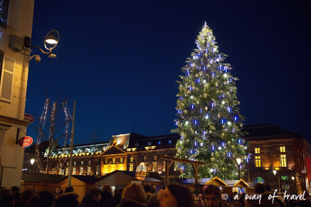 visit strasbourg marche noel christmas market capitale sapin place kleber illumination
