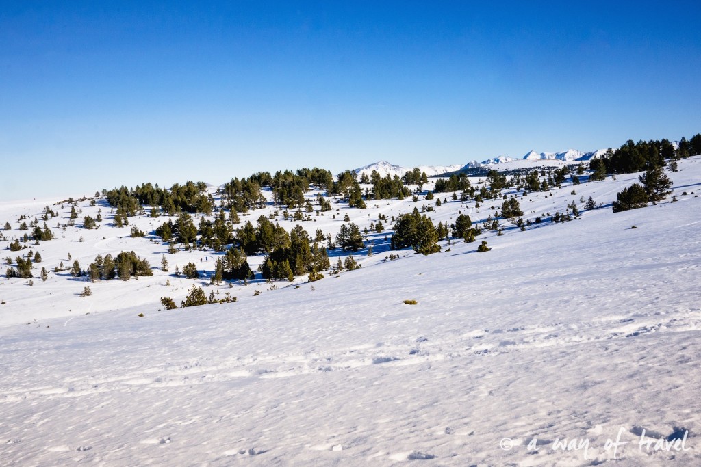 Plateau de beille Pyrénées randonnee raquette ski de fond hiver blog voyage 24