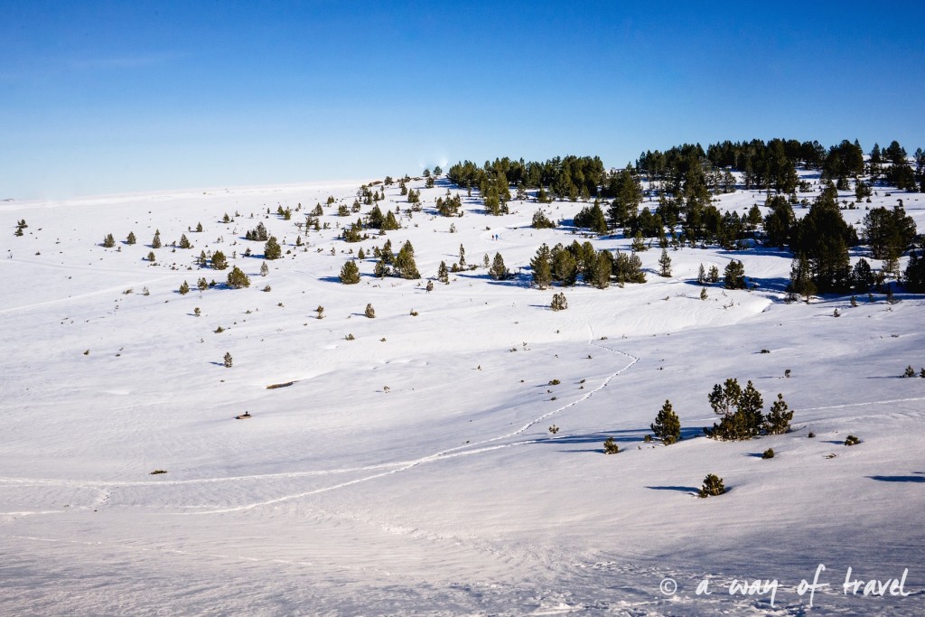 Plateau de beille Pyrénées randonnee raquette ski de fond hiver blog voyage 25