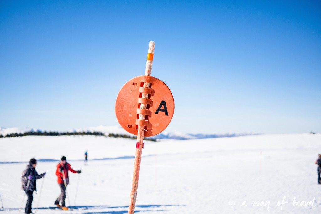 Plateau de beille Pyrénées randonnee raquette ski de fond hiver blog voyage 6