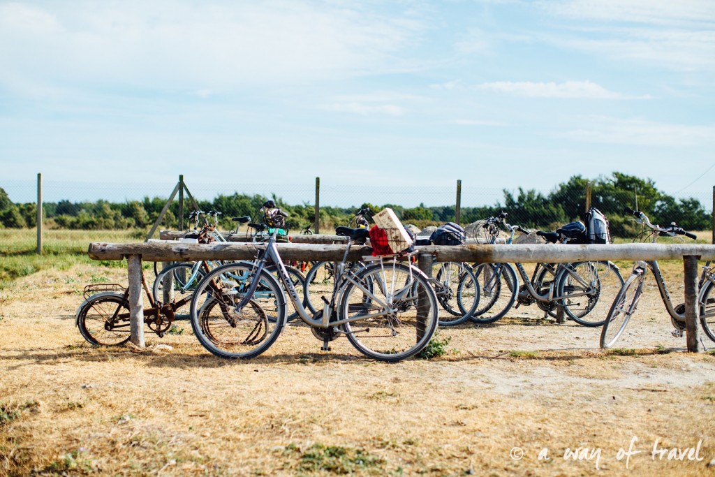 Ile de re plage marches les portes marie huitres vélo location 17