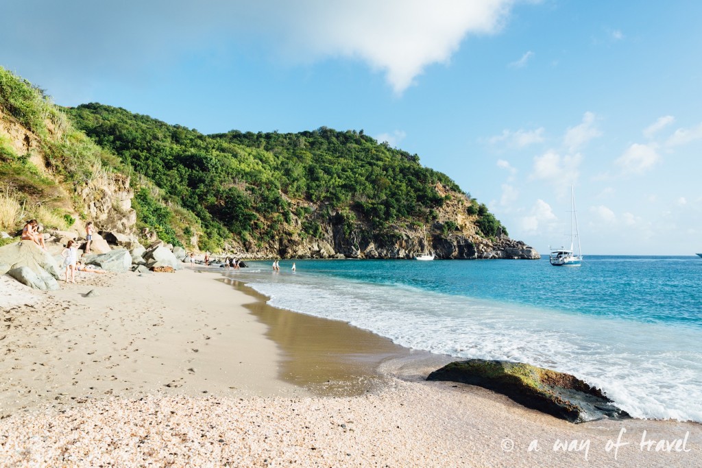 Saint Barth Barthelemy Caraibes Antilles Francaises shell beach 39
