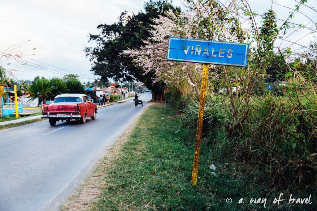 Vinales Cuba Guide Voyage 104