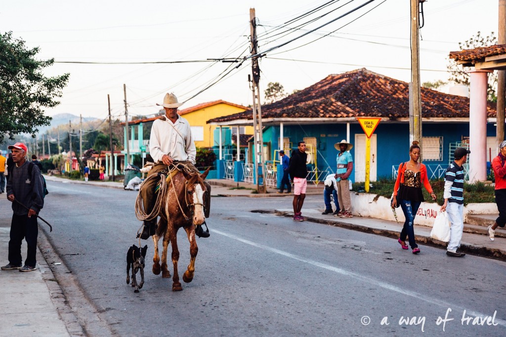 cowboy Vinales Cuba Guide Voyage 8