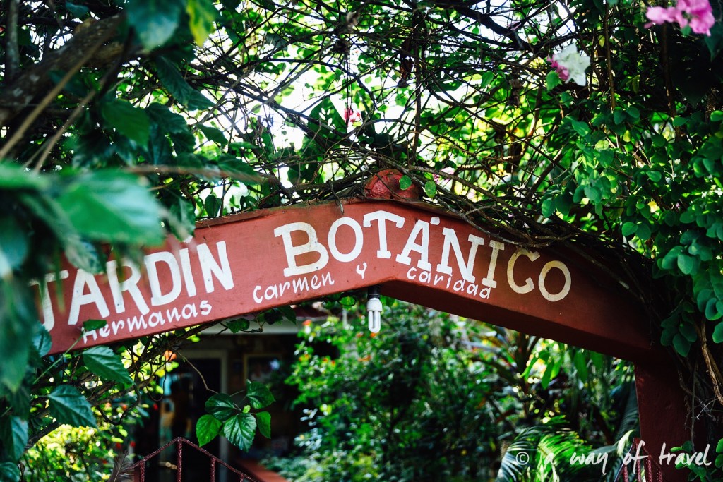 jardin botanique Vinales Cuba Guide Voyage 62