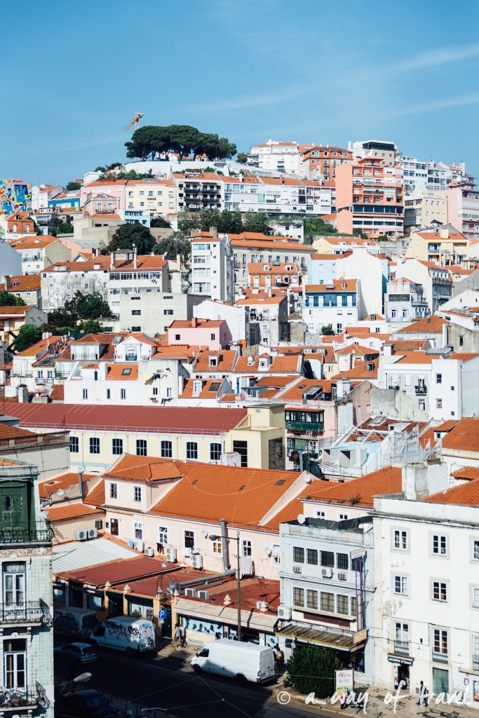 10 Lisbonne topo rooftop 3